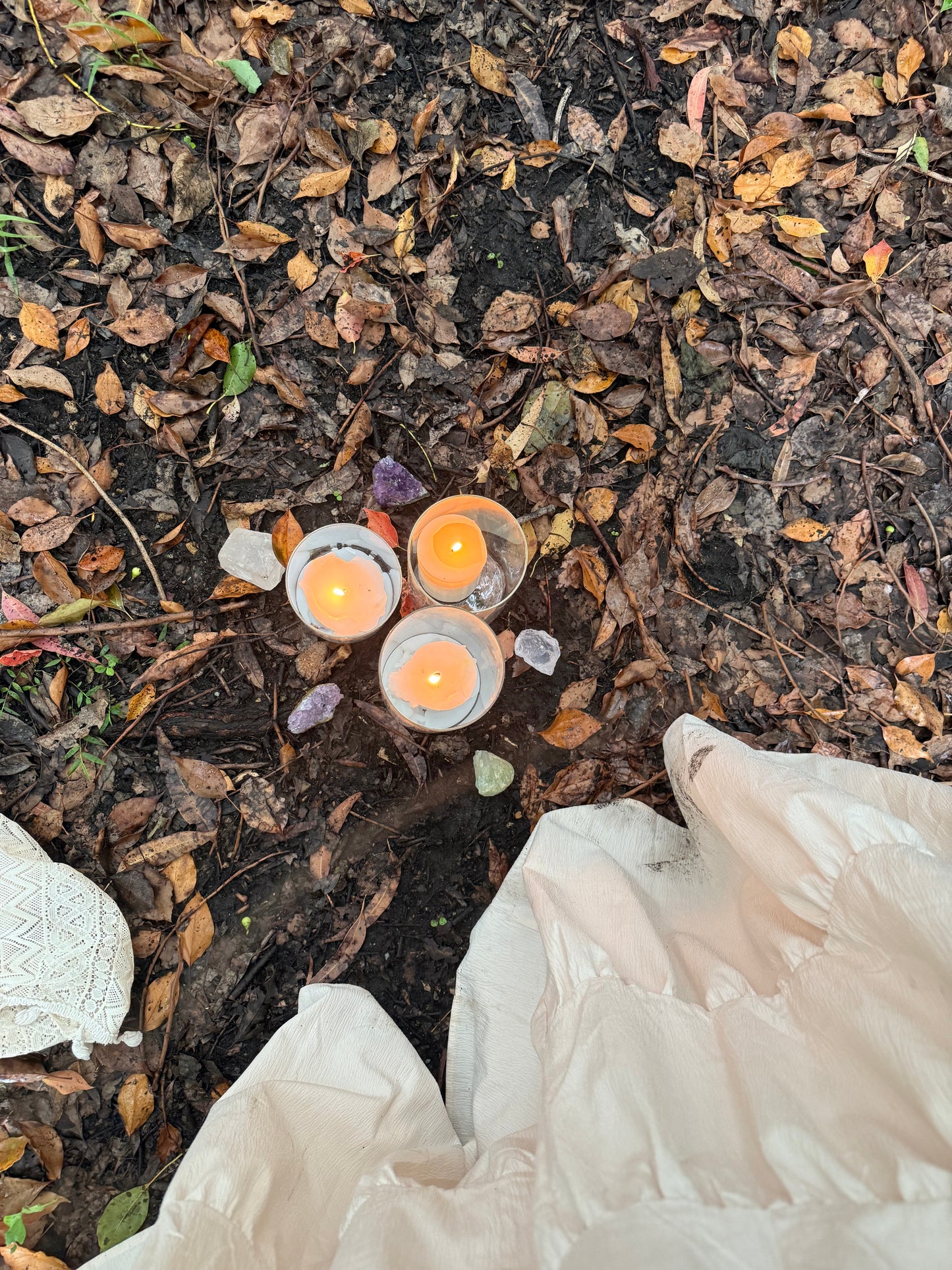 Seasonal Magic: The 2026 Closed Circle: The Wheel of the Year