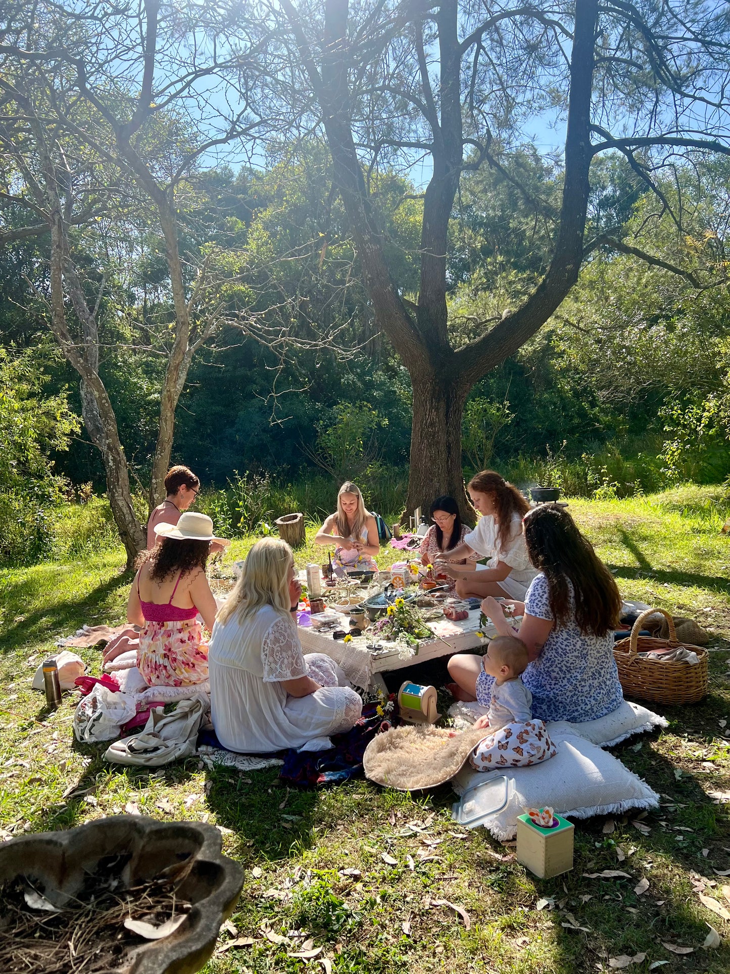 Seasonal Magic: The 2026 Closed Circle: The Wheel of the Year